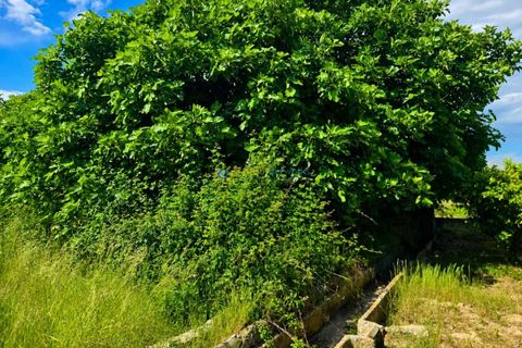 Helårsgrund i Piles, Valencia, Piles - € 40.000 | Ref: PNPT303 - foto 9